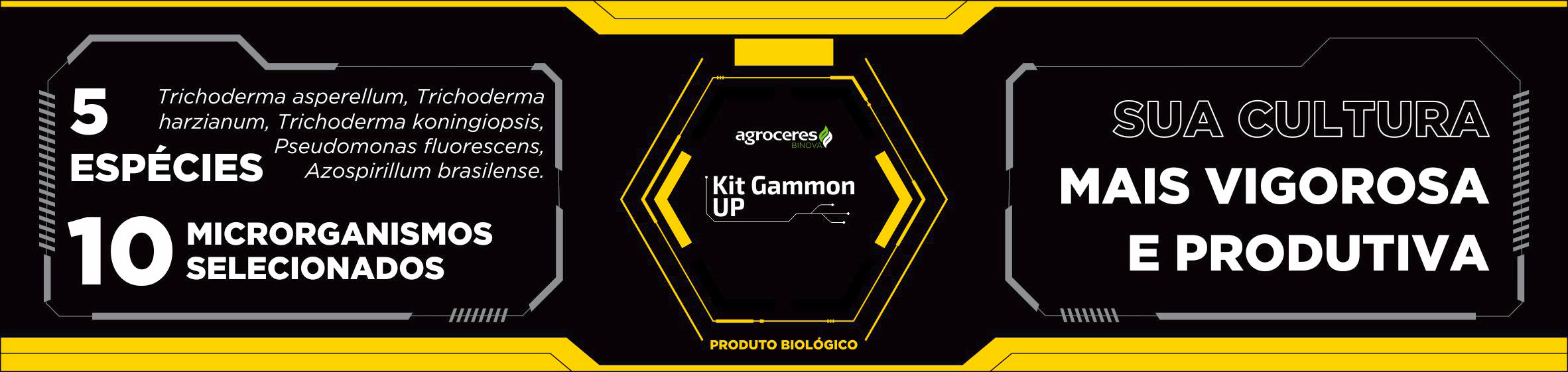 Banner - Kit Gammon UP